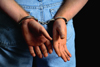 11 Arrests in Tress Amigos Bust