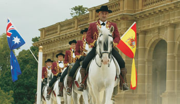 Royal Horces of Spain