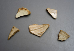 Sherds of Columbia Plain majolica found at the Luna settlement, with scale.